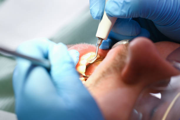 Best Pediatric Emergency Dentist in Norwood, PA